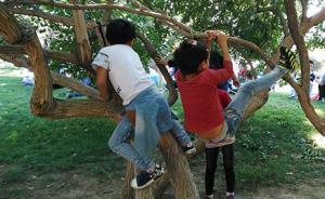 媒体调查“熊孩子”背后：常有素养缺失教育错位的“熊家长”