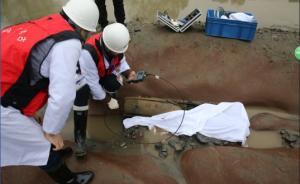 講座｜為何沒(méi)一件文物寫(xiě)張獻(xiàn)忠的名字，但仍確認(rèn)就是他的沉銀