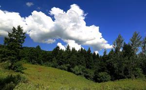 環(huán)保部公布一季度排放嚴(yán)重超標(biāo)國控企業(yè)，40家企業(yè)上榜