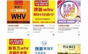新西兰昨天开放打工度假签证申请，网上现“代抢”业务