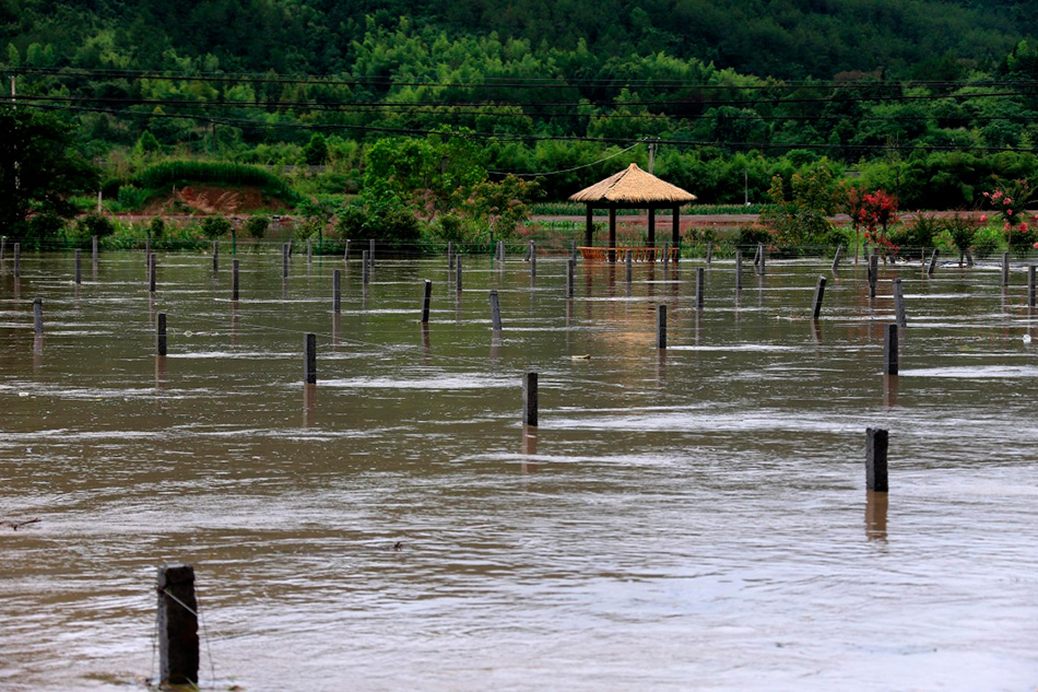 M_XxjpsgC001253_20170624_TPPFN1A001