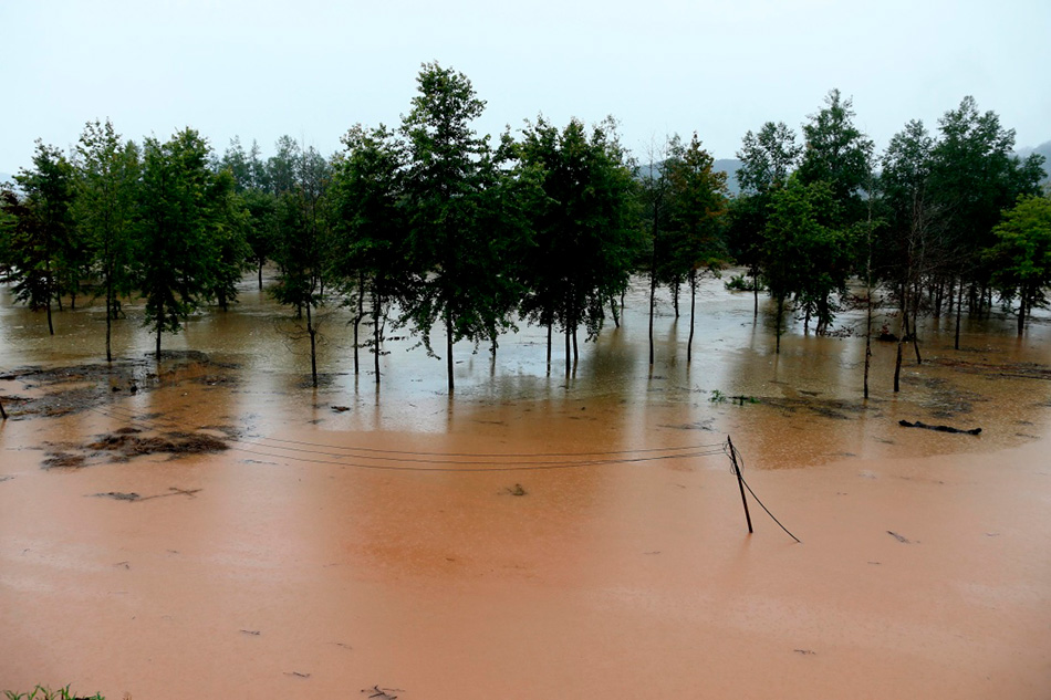 M_XxjpsgC001256_20170624_TPPFN1A001