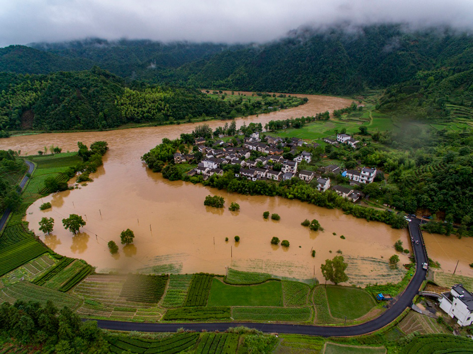 M_XxjpsgC001462_20170624_TPPFN1A001