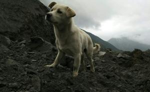 茂县垮塌17小时:尚无被困人员生还