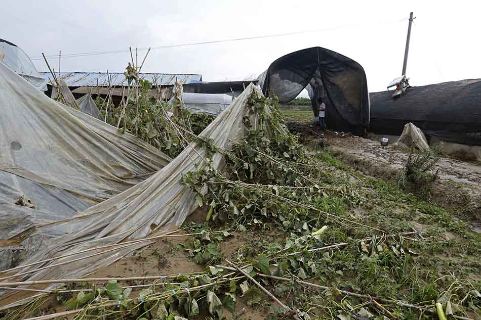 微信圖片_20170625220945