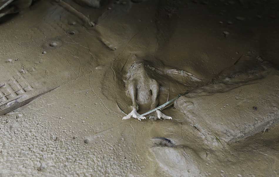 微信圖片_20170625220949