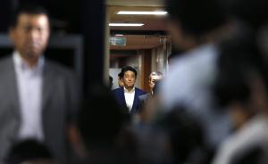 为争取“入常”，日本怒刷存在感，派遣议员团游说非洲13国