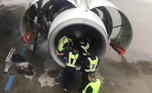 向飛機發(fā)動機拋幣老太獲行拘5日處罰，因其年已八旬不予執(zhí)行