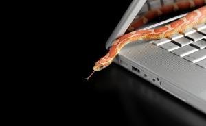 上海男子网上招嫖未果反被骗，一次次爽快汇款共转出十万元