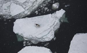 中美研究：全球海洋自1998年后持续加速增暖，需加强监测