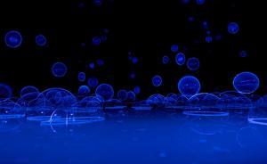 奥拉维尔·埃利亚松：理想的美术馆需要宽容度