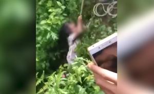 留守女童被抱走，男子怕被抓将其藏山洞