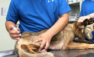 陕西省卫生计生委等5部门通知：进一步加强防控狂犬病