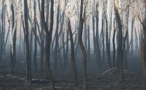 偽環(huán)保假生態(tài)現(xiàn)象調(diào)查：國(guó)家級(jí)生態(tài)鄉(xiāng)鎮(zhèn)披“綠馬甲”炸山毀林