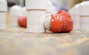 卡内基·梅隆大学造“蛇”,多长你来定