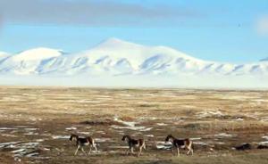 中国拥有52处世界遗产，名列世界第一