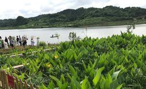 【共舞长江经济带】贵州“治水经”：让生活污水远离母亲河