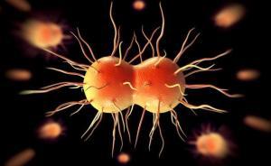 世衛(wèi)警告稱淋病耐藥性呈現(xiàn)強(qiáng)硬趨勢，新藥研制因資金匱乏受阻