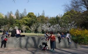 城市漫步·重構(gòu)｜景云深處的魯迅及其他