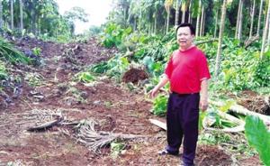 海南一鎮(zhèn)政府被指為套取遷墳費(fèi)將土堆認(rèn)定為無(wú)主墳，紀(jì)委調(diào)查