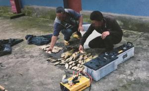 云南两男子禁渔区电鱼各罚2千，自愿购6万尾鱼苗投放滇池