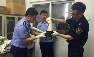 石家庄破获今年最大象牙走私案，共1600多件借助网购贩卖