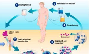 諾華腫瘤免疫療法售價或超60萬美元，專家：標準化難題待解