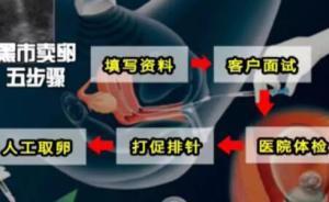 媒体暗访黑市卖卵：一次可赚1.5万，前往手术地点需戴眼罩