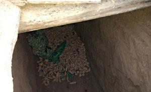 重庆母女薯窖捡薯出意外亲邻施救4人身亡，疑似一氧化碳中毒