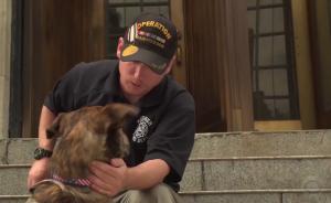 最佳搭檔？看服務(wù)犬“照顧”PTSD大兵