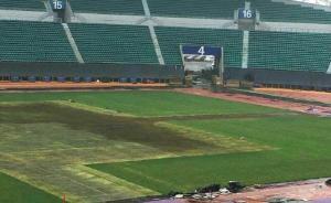 有一说丨球场草皮屡遭演唱会损坏，不该让“歌神”来背锅