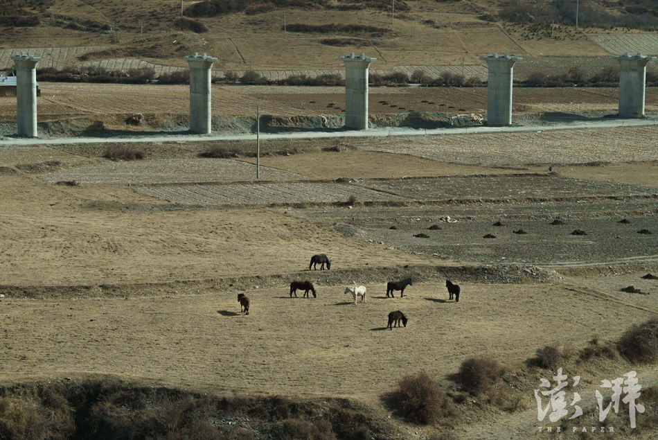 12-20170118-DSC01382