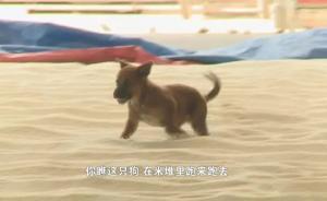 北大荒米业湖南总代将发霉米包装后重新上市，记者调查险遭打