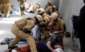 國際刑警組織：173名極端組織成員或在歐洲發(fā)動(dòng)自殺式襲擊