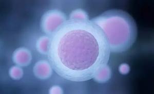 廣東衛(wèi)計(jì)委通報(bào)“少女賣卵傷害案”：代孕監(jiān)管漏洞需多頭封堵