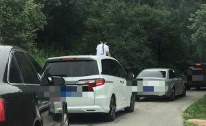 八达岭野生动物园回应游客开窗事件：每个园区增加一部巡逻车