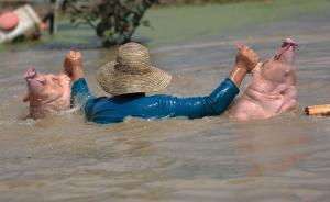 湖南一村支書(shū)抗洪救災(zāi)緊要關(guān)頭水上撈豬宰殺分肉，被誡勉談話