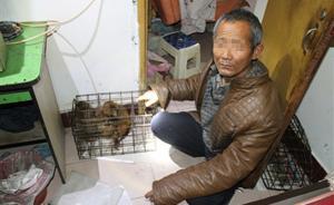 河南非遺耍猴藝人獵捕運輸獼猴被抓，協(xié)會會長：辦證太麻煩