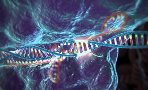 《自然》子刊发表编辑部关注：正调查“基因魔剪致突变”论文