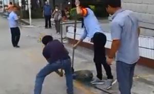 被指为创文捕杀流浪狗，普洱思茅回应：抓的是病狗，狗主求助