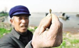 杭州一8歲女孩因游泳感染血吸蟲病，有特效藥但無(wú)法清除蟲卵