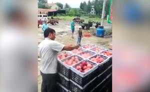 传蜜桃喷防腐剂者被抓,村民放鞭炮庆祝