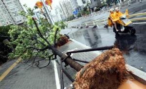 臺(tái)風(fēng)“納沙”強(qiáng)襲福州：121個(gè)航班取消，僅俄航成功落地