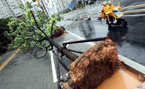 雙臺(tái)風(fēng)登陸福建，處臺(tái)風(fēng)中心附近福州機(jī)場(chǎng)大量航班延誤或取消