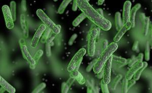 最新研究表明：細(xì)菌感染可能是導(dǎo)致老年癡呆癥的關(guān)鍵因素