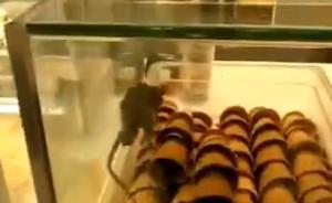 無錫一知名面包店內(nèi)驚現(xiàn)老鼠爬上食物，已被責(zé)令整改或?qū)⒅亓P