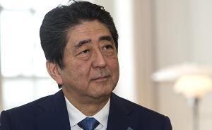 膝下無子的安倍“后繼有人”:侄子稱愿做養(yǎng)子“接班”