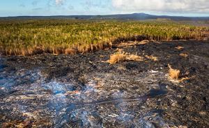 美地质学家：岩浆涌上地表是2.52亿年前生物大灭绝主因