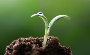 五部委会议部署：要在2018年底查明农用地土壤污染面积