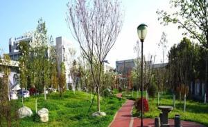 中青評論：如果有景無“學(xué)”，校園景點(diǎn)終歸是東施效顰